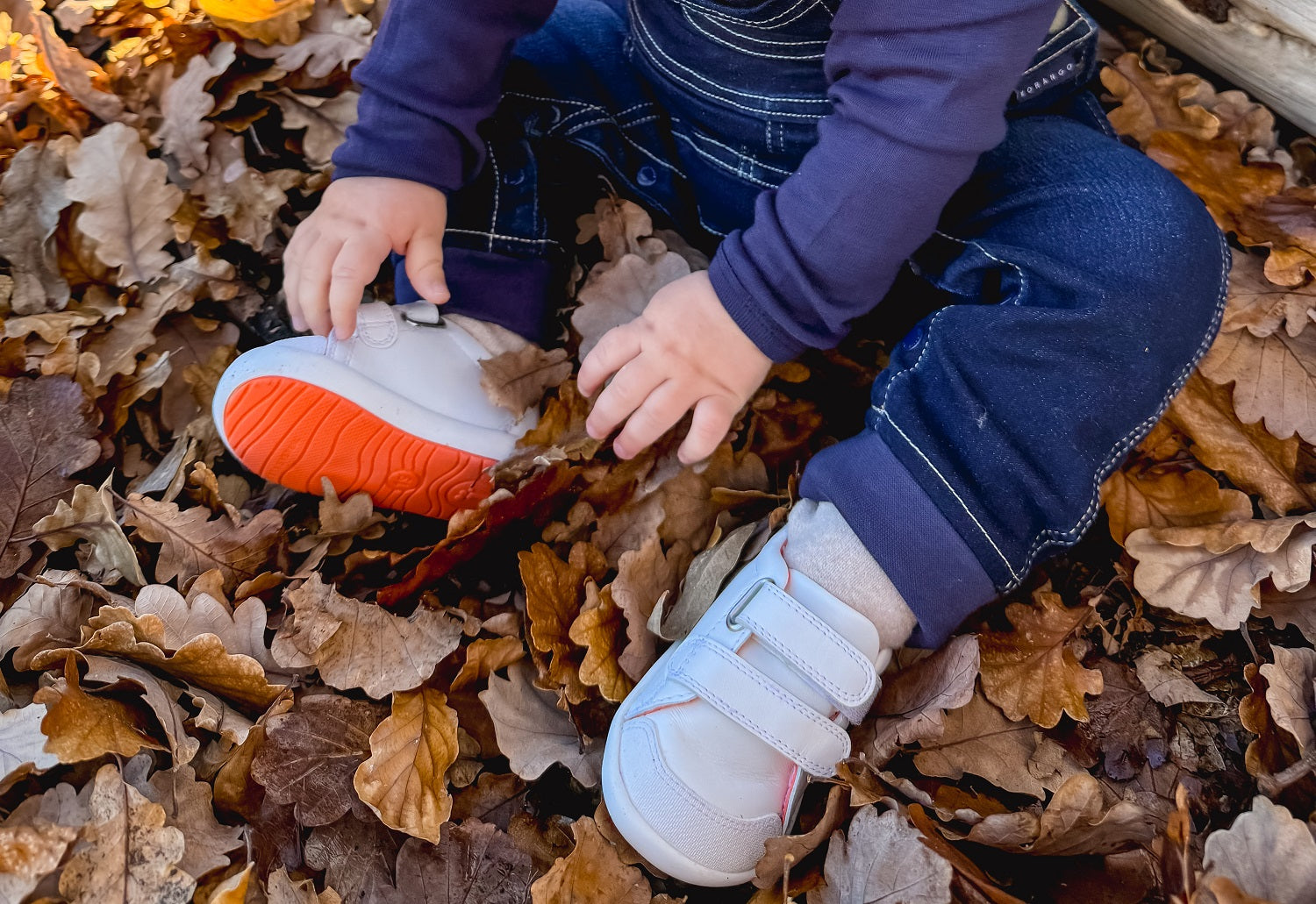 Your Baby’s First Shoes: What Every Parent Needs to Know